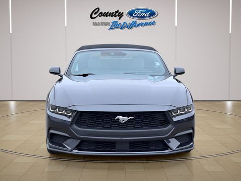 Used 2024 Ford Mustang Premium image 12