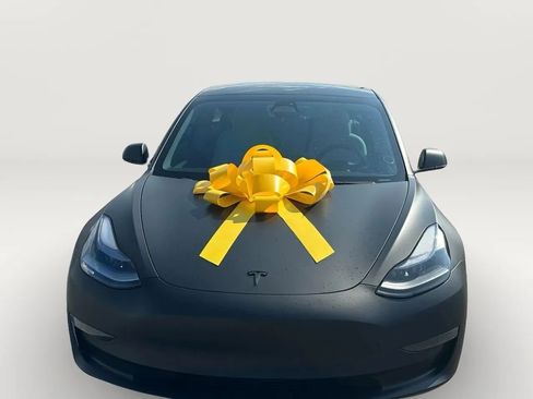 Used 2022 Tesla Model 3 Standard Range image 3