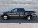 Used 2014 Ford F150 Platinum image 6