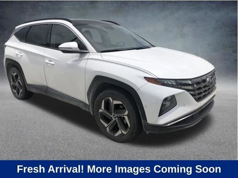 Used 2023 Hyundai Tucson Limited AWD/4WD image 1
