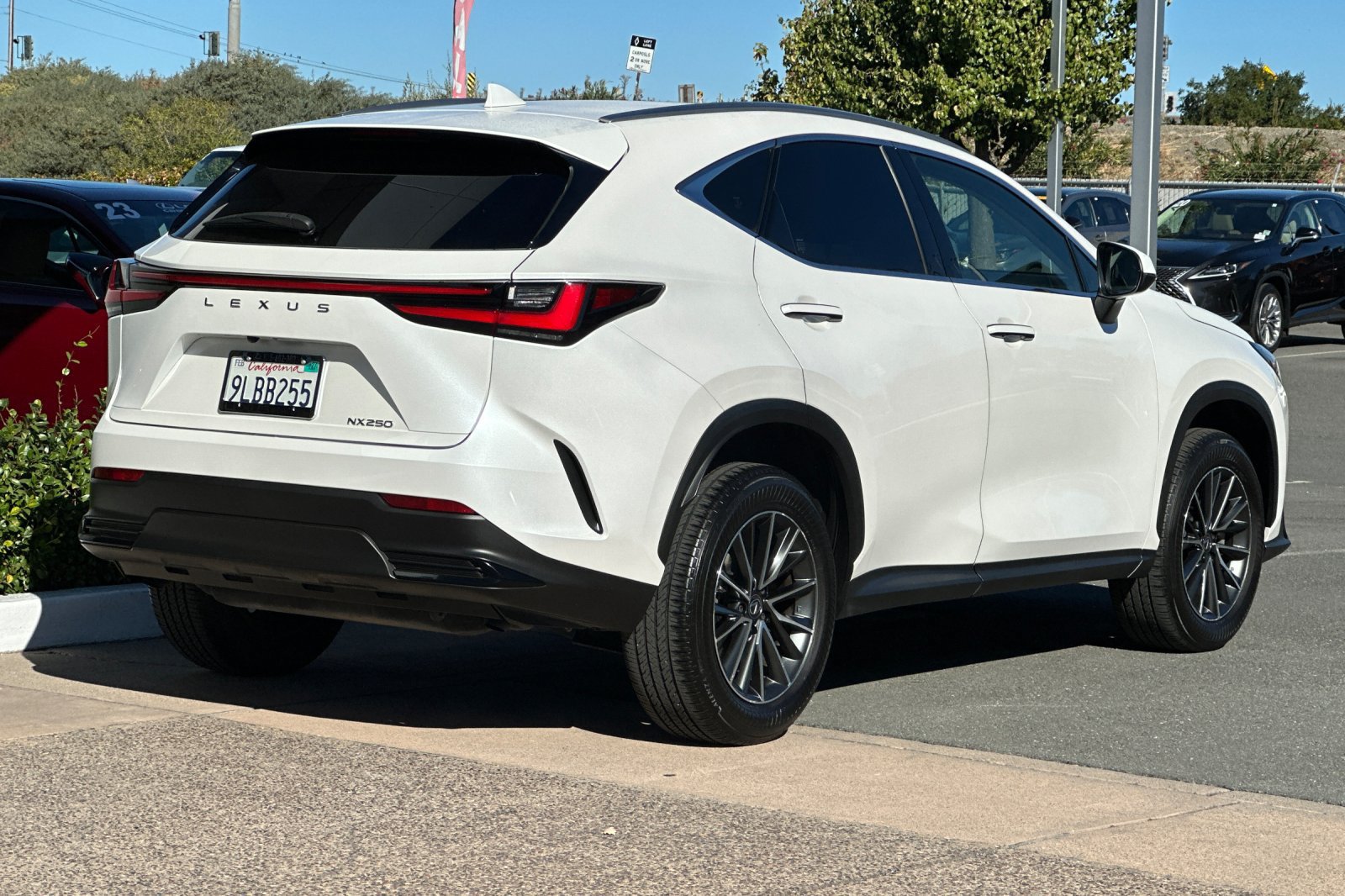 Certified 2024 Lexus NX 250 FWD image 4