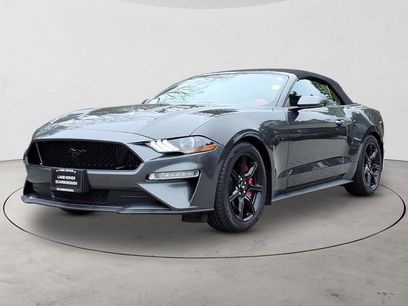 Used 2020 Ford Mustang GT Premium w/ Equipment Group 401A
