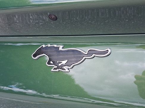 New 2025 Ford Mustang Mach-E Premium image 10