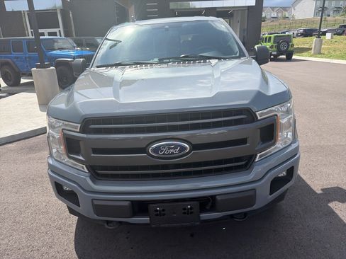 Used 2019 Ford F150 XLT w/ Equipment Group 302A Luxury AWD/4WD image 3
