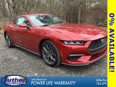 New 2024 Ford Mustang Premium w/ 2.3L High Performance Package
