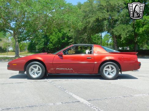 Used 1989 Pontiac Firebird Formula image 4