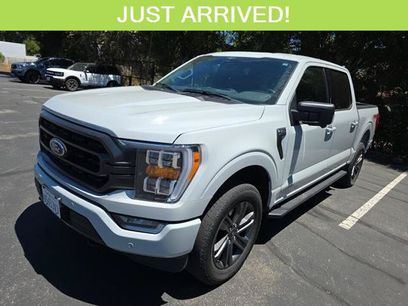 Certified 2023 Ford F150 XLT w/ Equipment Group 302A High