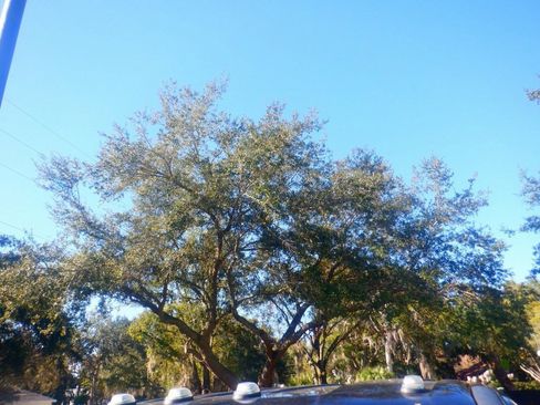 Used 2023 Ford F350 XL image 25