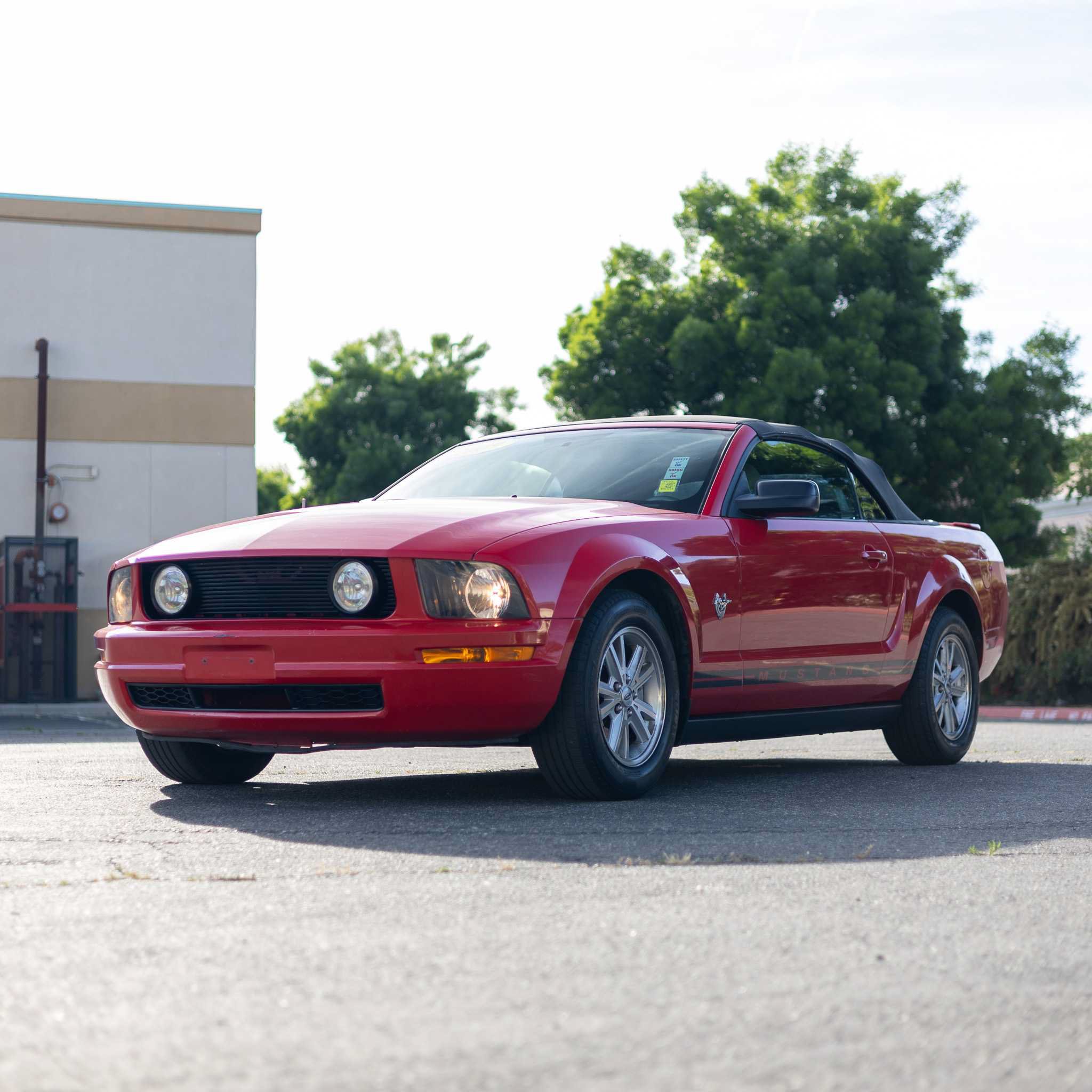 Used 2009 Ford Mustang Premium RWD image 3