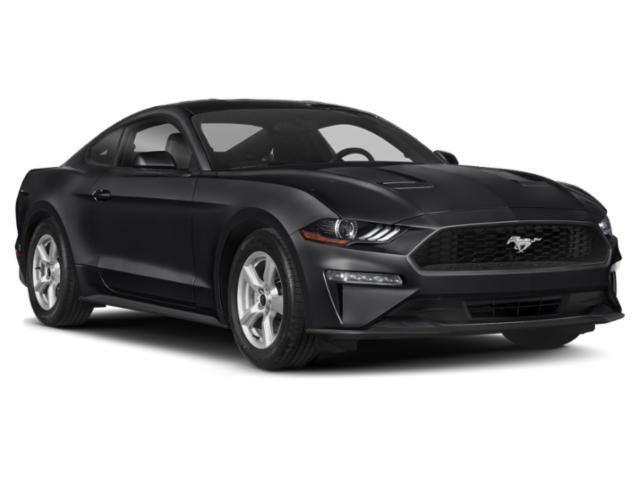 Used 2019 Ford Mustang Coupe RWD image 9