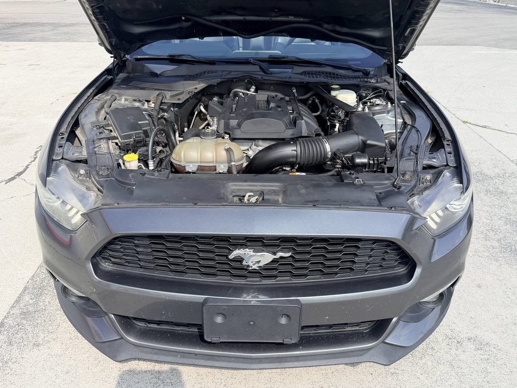 Used 2016 Ford Mustang Premium RWD image 11