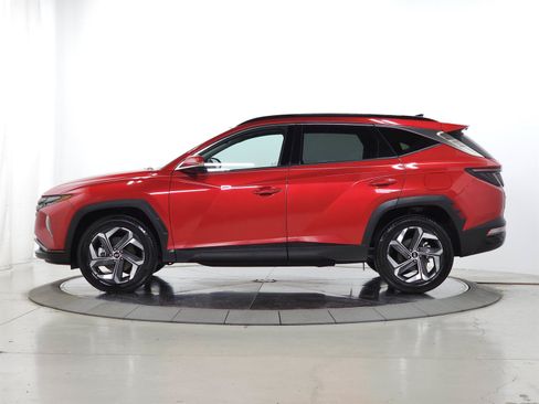 Used 2023 Hyundai Tucson Limited AWD/4WD image 5