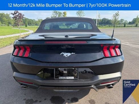 Used 2025 Ford Mustang Premium RWD image 15