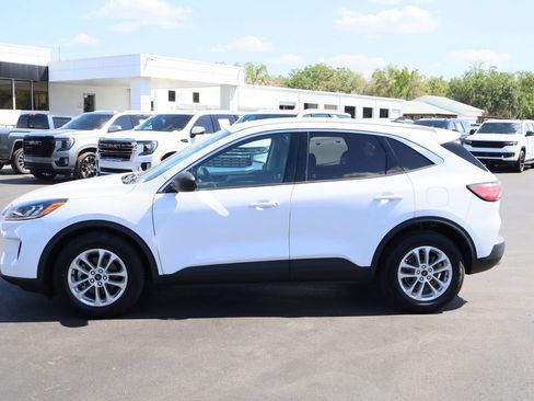 Used 2022 Ford Escape SE FWD image 6