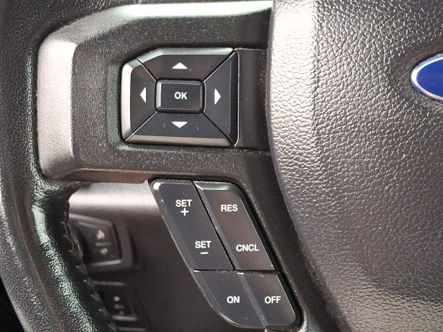 Used 2019 Ford F150 XLT w/ Equipment Group 302A Luxury AWD/4WD image 20