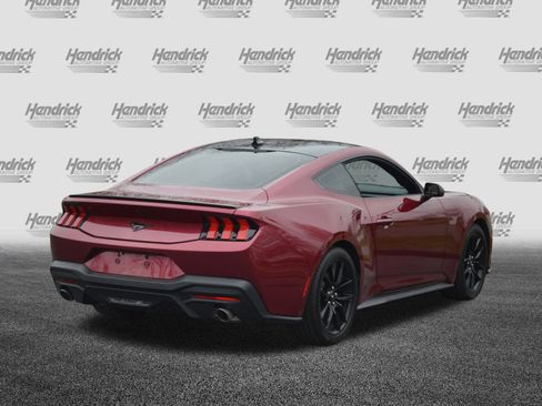 Used 2025 Ford Mustang Coupe w/ Mustang Nite Pony Package image 11