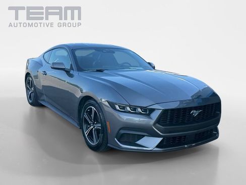 Used 2025 Ford Mustang Coupe RWD image 1