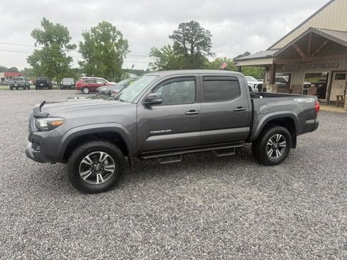 Used 2019 Toyota Tacoma TRD Sport AWD/4WD image 1