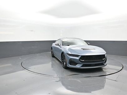 Certified 2024 Ford Mustang GT w/ Mustang Nite Pony Package