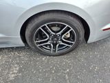 Used 2019 Ford Mustang Premium image 5