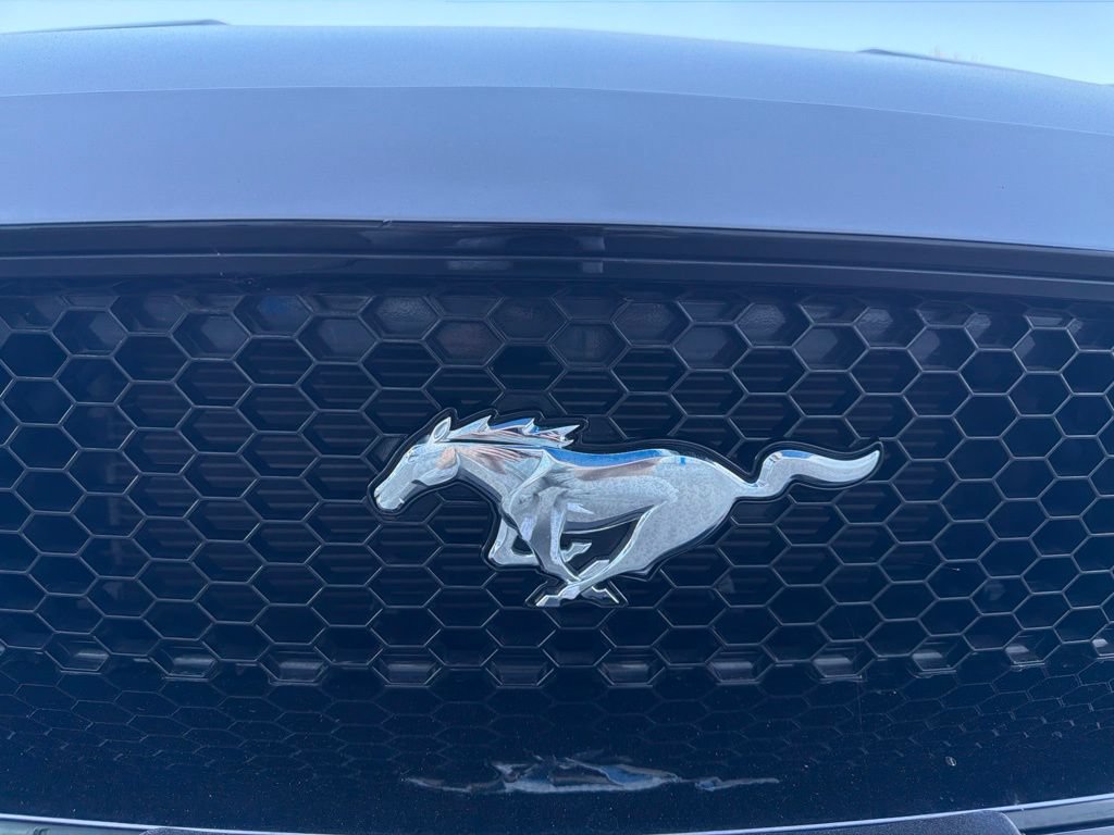 Used 2019 Ford Mustang GT Premium w/ GT Performance Package RWD image 30