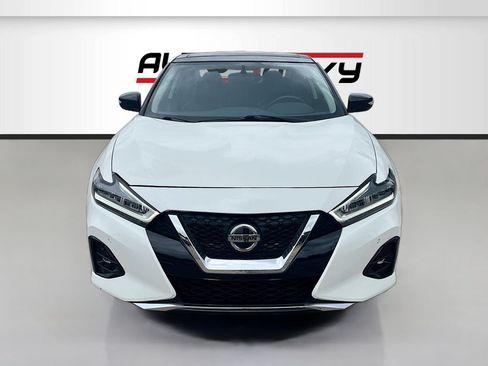 Used 2019 Nissan Maxima 3.5 SL w/ Floor Mat Group FWD image 2