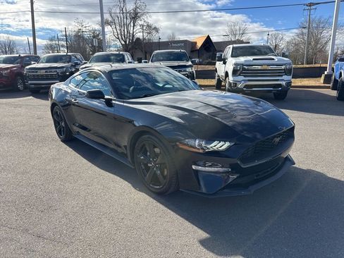 Used 2022 Ford Mustang Coupe w/ Equipment Group 101A image 7