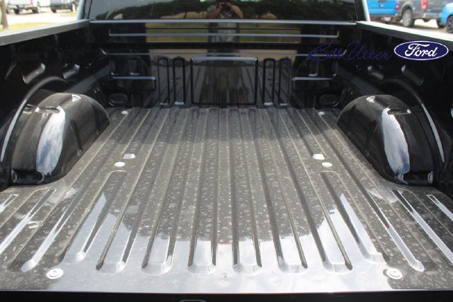 New 2026 Ford F150 XLT w/ XLT Black Appearance Package RWD image 6
