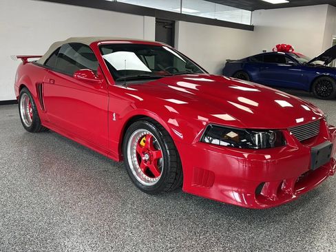 Used 1999 Ford Mustang Cobra RWD image 7