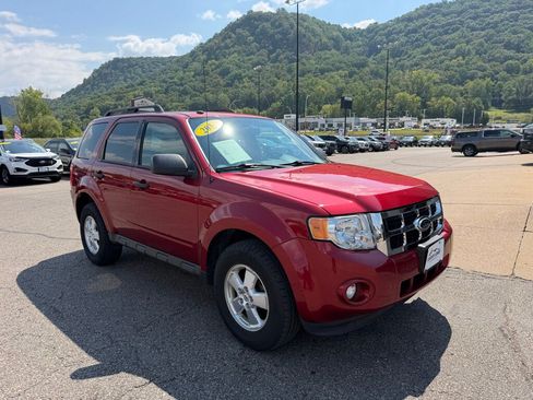 Used 2012 Ford Escape XLT AWD/4WD image 3