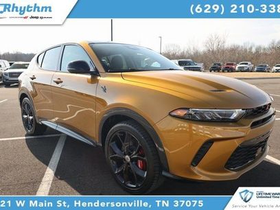 New 2024 Dodge Hornet R/T Plus