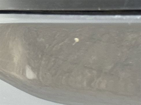 Used 2016 Ford F150 XLT w/ Equipment Group 302A Luxury image 37