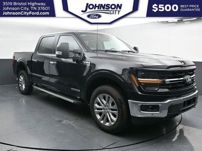 New 2025 Ford F150 XLT w/ Equipment Group 303A High