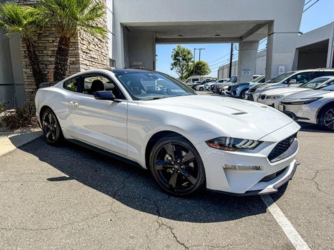 Used 2021 Ford Mustang Coupe w/ Equipment Group 101A RWD image 1