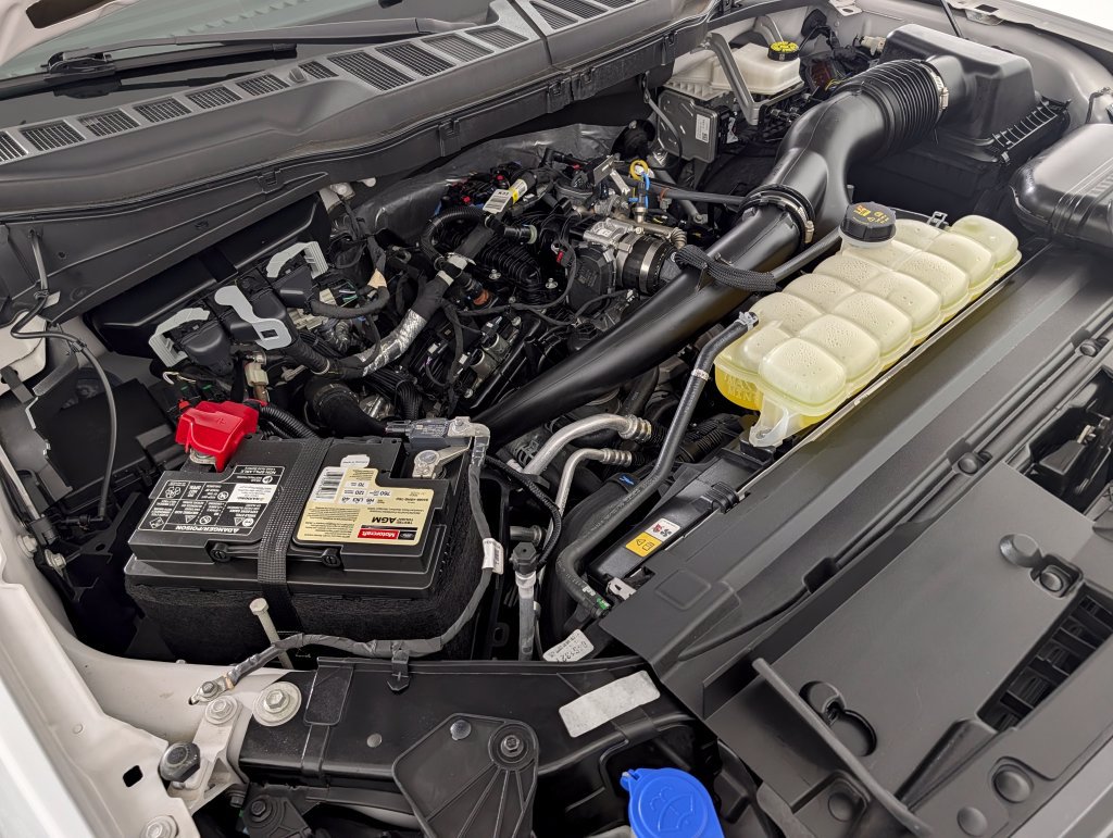 Certified 2025 Ford F150 STX w/ Equipment Group 200A RWD image 7