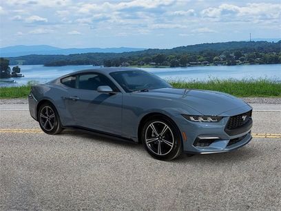 Used 2025 Ford Mustang Coupe
