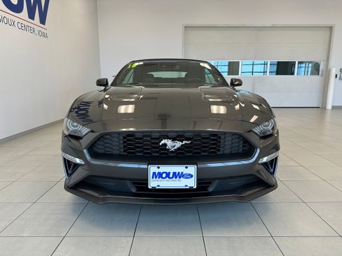 Used 2019 Ford Mustang Premium w/ Equipment Group 201A RWD image 3