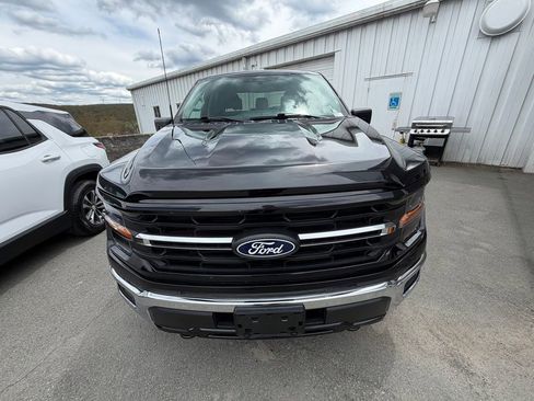 Used 2025 Ford F150 XLT w/ Equipment Group 301A Standard AWD/4WD image 8