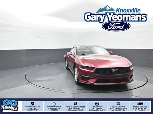 New 2026 Ford Mustang Coupe RWD image 1