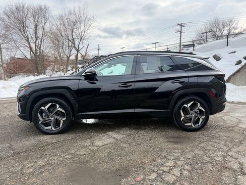 Used 2024 Hyundai Tucson Limited image 3