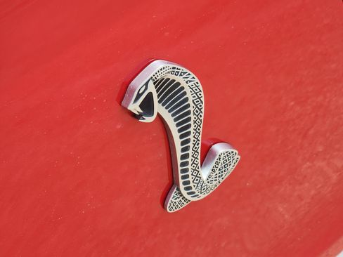 Used 2010 Ford Mustang Shelby GT500 RWD image 16