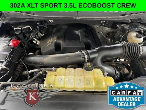Used 2019 Ford F150 XLT w/ Equipment Group 302A Luxury AWD/4WD image 23