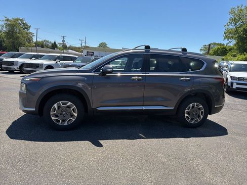 Used 2021 Hyundai Santa Fe Blue AWD/4WD image 4