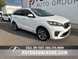 Used 2020 Kia Sorento SX image 2