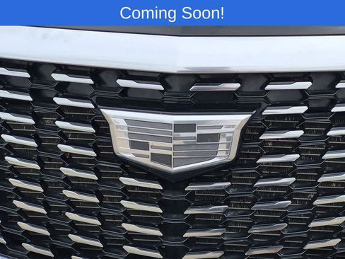 Used 2024 Cadillac XT5 Premium Luxury AWD/4WD image 11