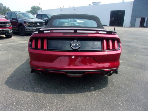 Used 2017 Ford Mustang GT Premium w/ Equipment Group 401A image 6