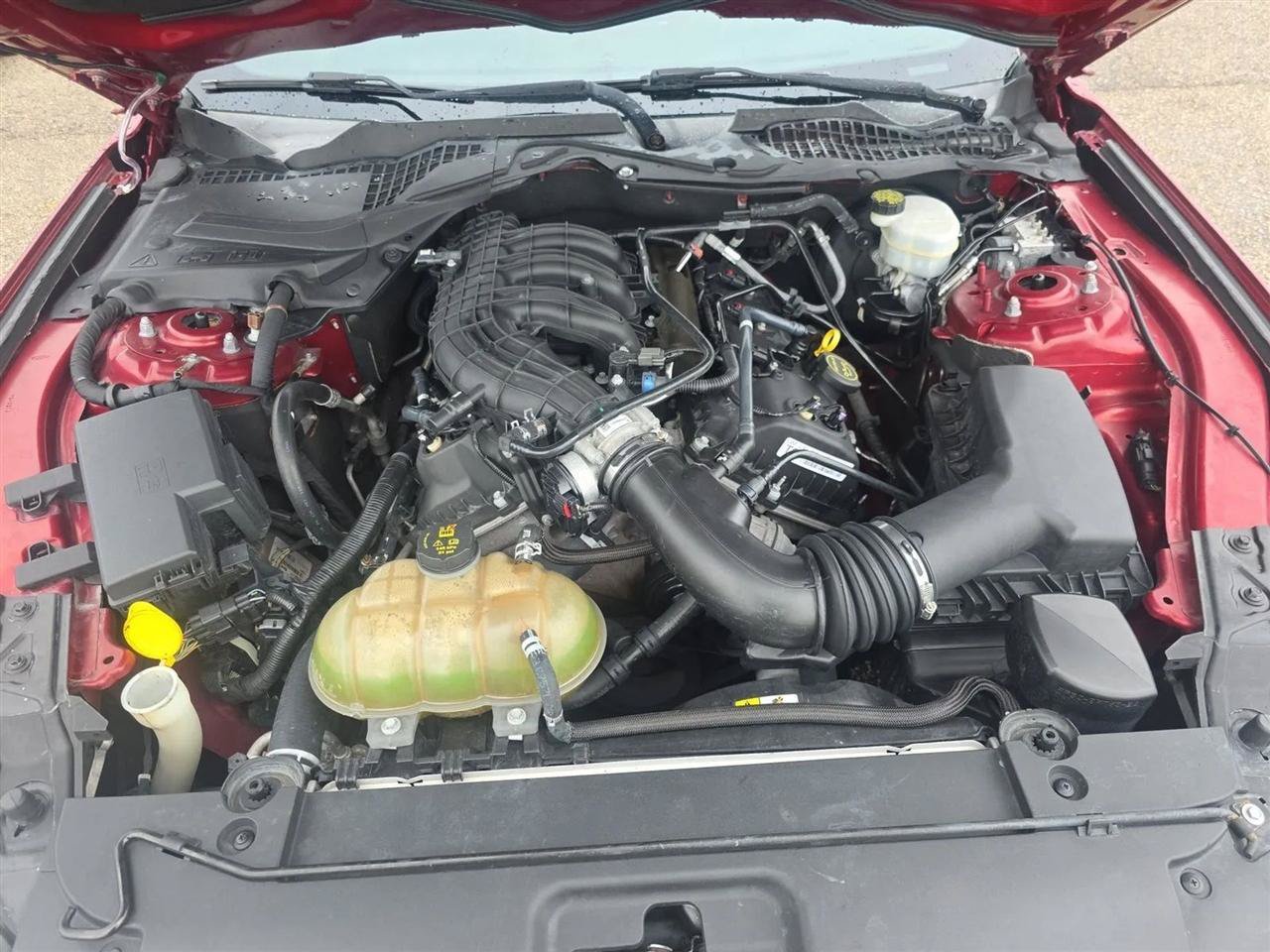 Used 2016 Ford Mustang Coupe RWD image 18