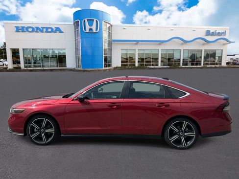 Used 2025 Honda Accord Sport image 3