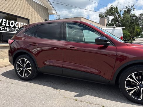 Used 2021 Ford Escape SE w/ SE Sport Appearance Package FWD image 6