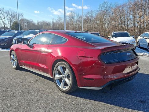 Used 2019 Ford Mustang Premium w/ Equipment Group 201A image 4